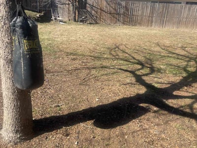Leaf Removal service in Denton, 76201