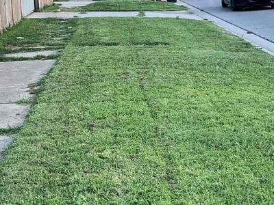 Lawn Care service in Nichols Hills, 73116