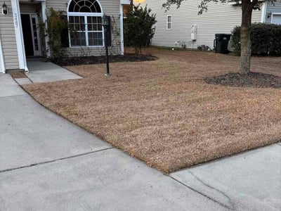 Leaf Removal service in Goose Creek, 29445