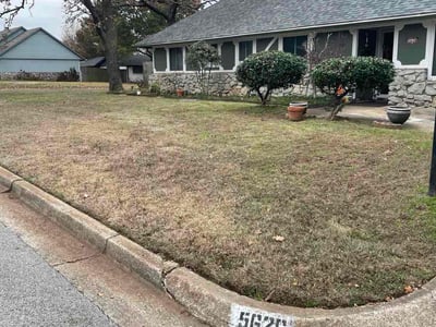 Leaf Removal service in Moore, 73160