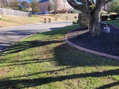 Leaf Removal service in Moore, 73160