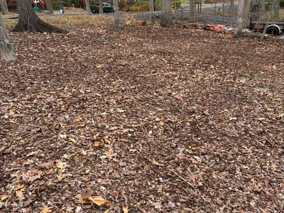Leaf Removal service in Moore, 73160