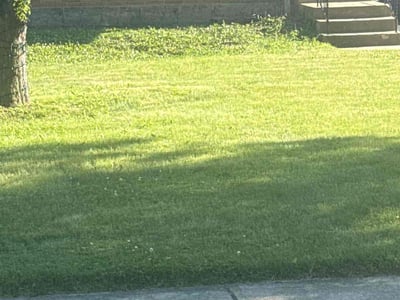 Lawn Care service in Roselle, 60172
