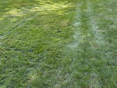 Lawn Care service in Trenton, 08608