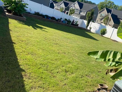 Lawn Care service in Raleigh, 27601