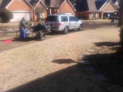 Leaf Removal service in Bartlett, 38134