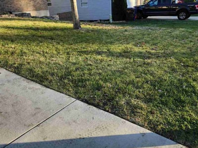 Lawn Care service in Sullivan, 63080