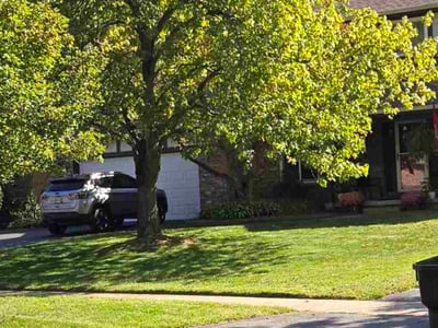 Lawn Care service in Sylvania, 43560