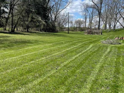 Lawn Care service in Sylvania, 43560