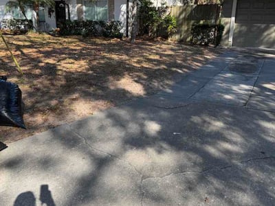 Leaf Removal service in Oviedo, 32765