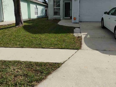 Leaf Removal service in Oviedo, 32765