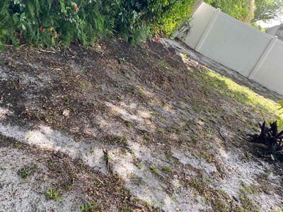 Leaf Removal service in Oviedo, 32765