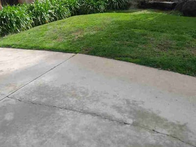 Leaf Removal service in Roseville, 95678