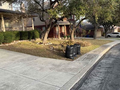 Leaf Removal service in Portland, 4101
