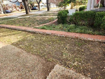 Leaf Removal service in North Richland Hills, 76180