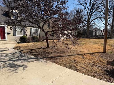 Leaf Removal service in Liberty, 64068