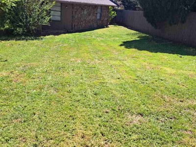 Lawn Care service in Bellmore, 11710