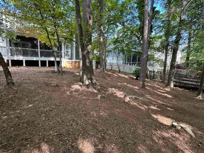 Lawn Care service in Davidson, 28036