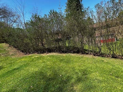 Lawn Care service in Monroeville, 15146
