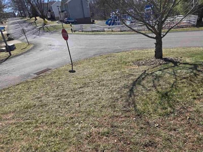 Leaf Removal service in Portland, 4101