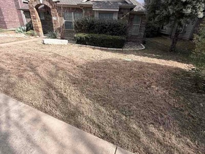 Lawn Care service in Coventry, 02816