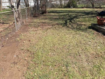 Leaf Removal service in Yukon, 73099