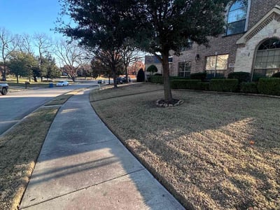 Lawn Care service in Rowlett, 75088