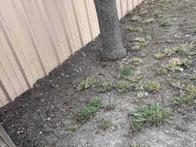 Leaf Removal service in Temple, 76501