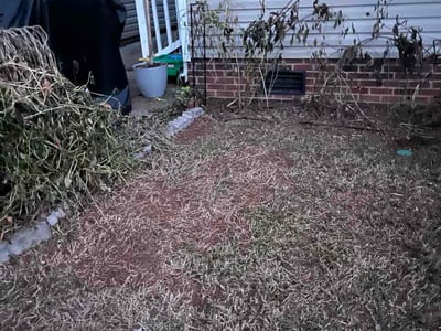 Leaf Removal service in Mooresville, 28115