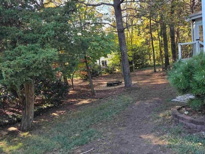 Leaf Removal service in Mooresville, 28115