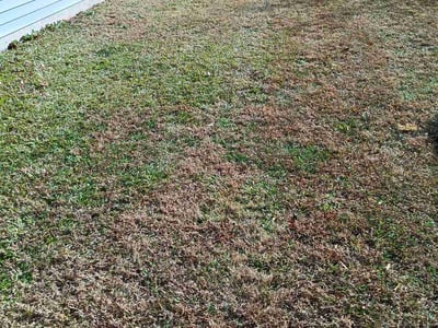 Leaf Removal service in Mooresville, 28115
