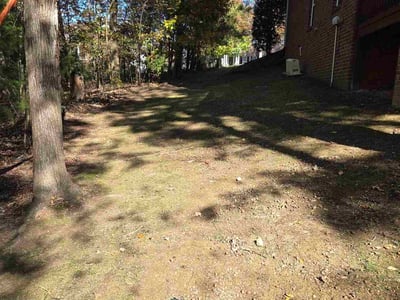 Leaf Removal service in Mooresville, 28115