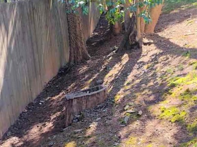 Leaf Removal service in Mooresville, 28115