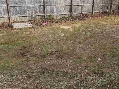Leaf Removal service in Mooresville, 28115