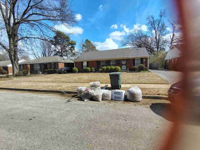 Leaf Removal service in Olive Branch, 38654