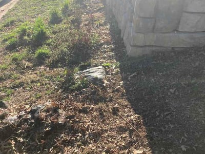 Leaf Removal service in Lehi, 84043