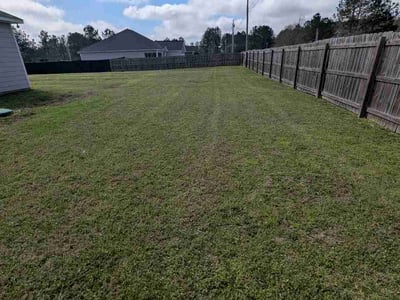 Lawn Care service in Phenix City, 36867