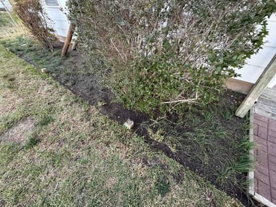 Leaf Removal service in Temple, 76501
