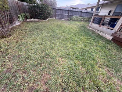 Leaf Removal service in Temple, 76501