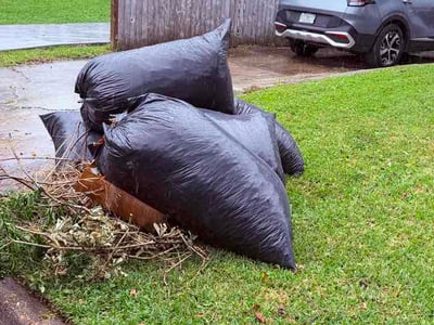 Leaf Removal service in Punta Gorda, 33950