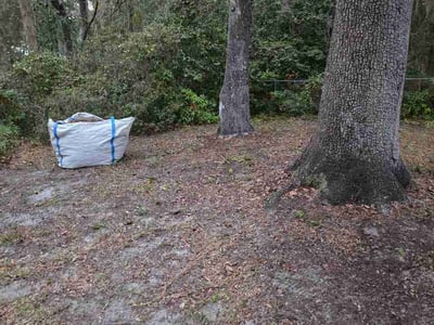 Leaf Removal service in Punta Gorda, 33950
