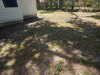 Leaf Removal service in Kissimmee, 34741