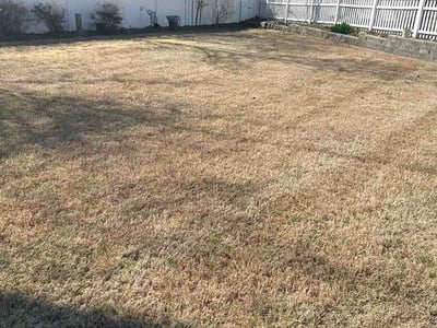 Leaf Removal service in Liberty, 64068