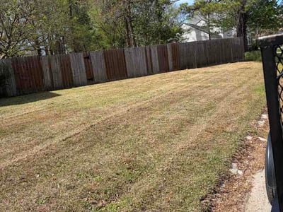 Leaf Removal service in Goose Creek, 29445