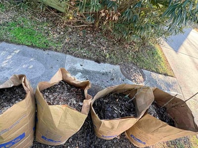 Leaf Removal service in Moncks Corner, 29461