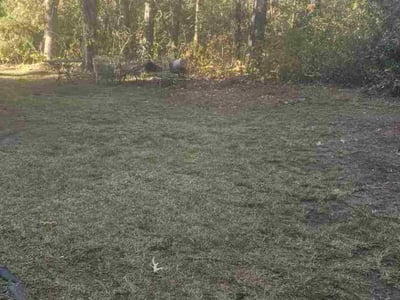 Leaf Removal service in Moncks Corner, 29461