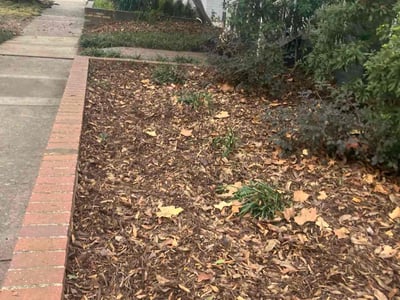 Leaf Removal service in Moncks Corner, 29461