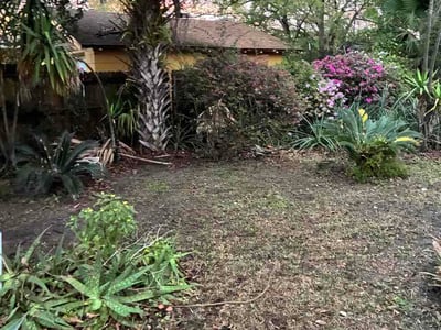 Leaf Removal service in Cape Coral, 33904