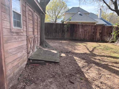 Leaf Removal service in Azle, 76020