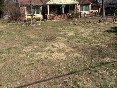 Lawn Care service in Pasco, 99301